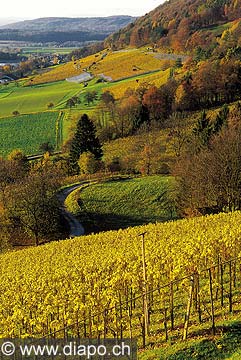 2797 - Polyculture prs de Stein-am-Rhein (SH).