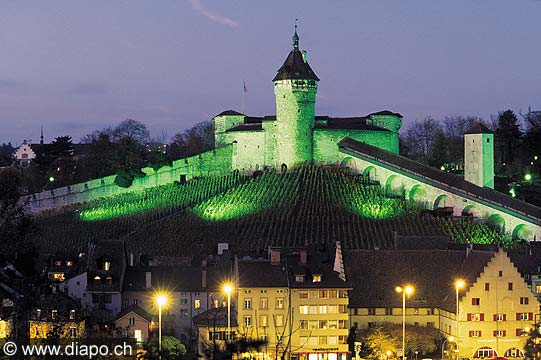 2799 - Les ceps montent  lassaut du Munot de Schaffhouse.