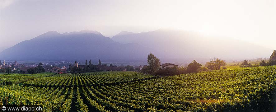 2805 - Au coeur de la Herrschaft grisonne.