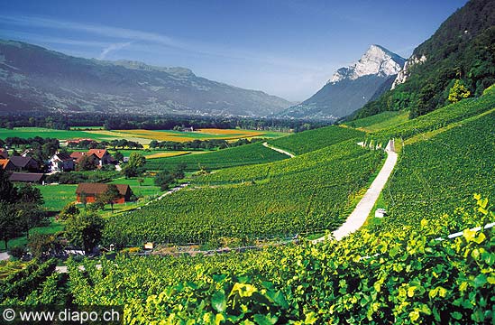 2807 - Les Grisons, Flsch , dans la valle du Rhin