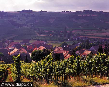 2839 - Oberhallau - SH