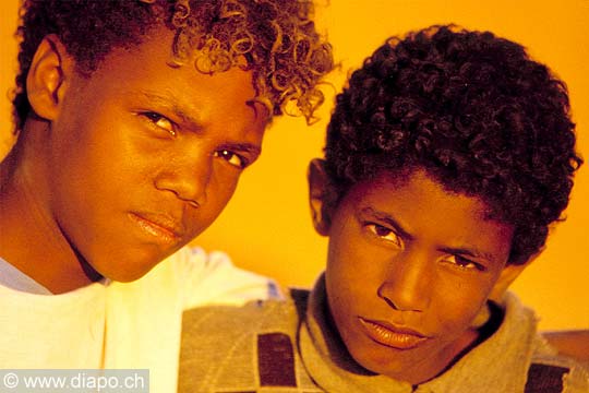 3240 - Regards partags