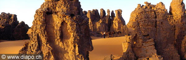 3351 - Chameaux  Maratrat