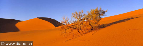 3353 - Entre vie et mort