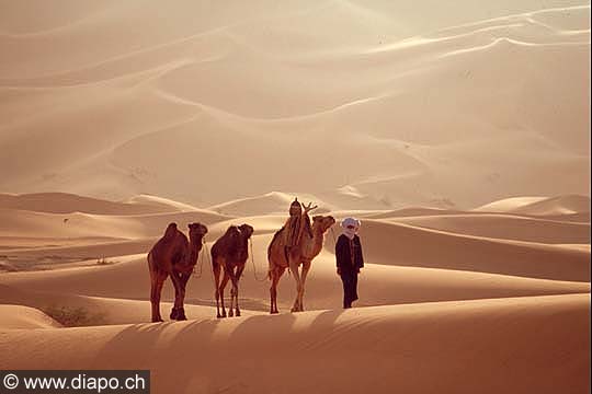 3362 - Dunes de Titersine