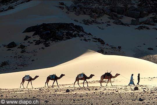 3370 - Erg de Titersine