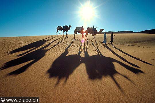 3374 - Ombres et lumires