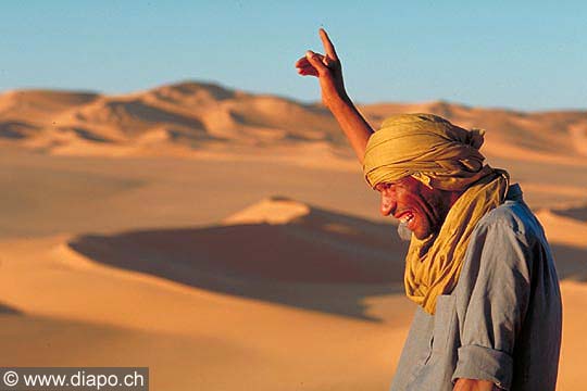 3375 - l'appel du dsert