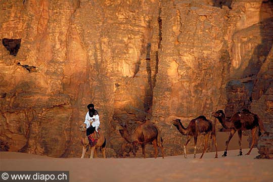 3376 - Sur la route des Tassilis
