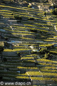 3581 - Valais - Sion