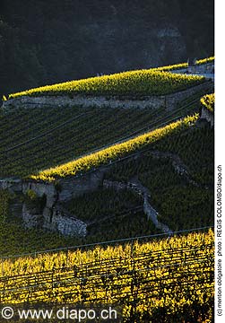 3582 - Valais - St-Lonad