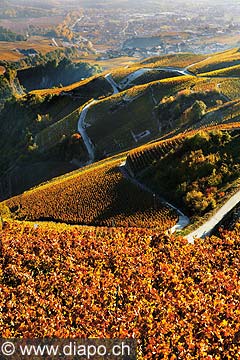 3583 - Valais - vers Daillon