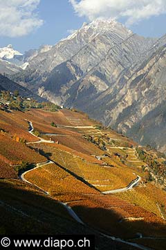 3584 - Valais - vers Savise