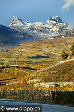 3585 - Valais - Sion - entre Sensine et Chandolin