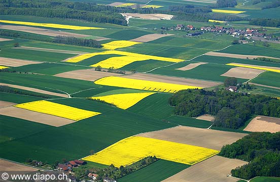 4052 - Campagne vaudoise - Suisse