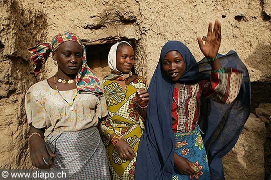 4078 - Niger, scne de vie