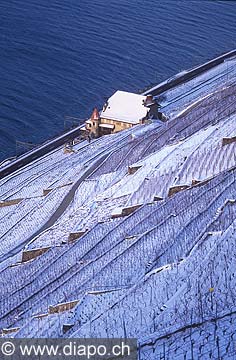 4365 - Lavaux, Clos des moines - ville de Lausanne