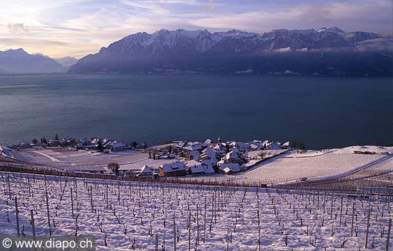 4366 - Lavaux, Rivaz