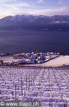 4367 - Lavaux, Rivaz