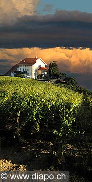 4450 - Lavaux - Chteau de Montagny