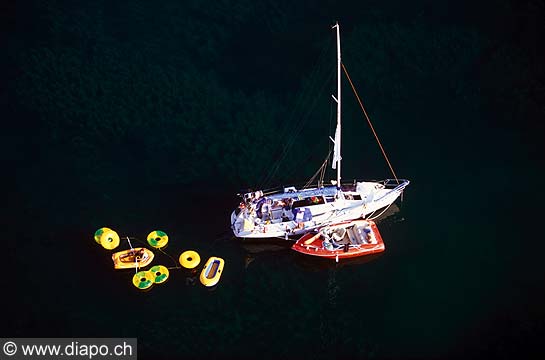 4496 - Bateau  voile sur le lac Lman