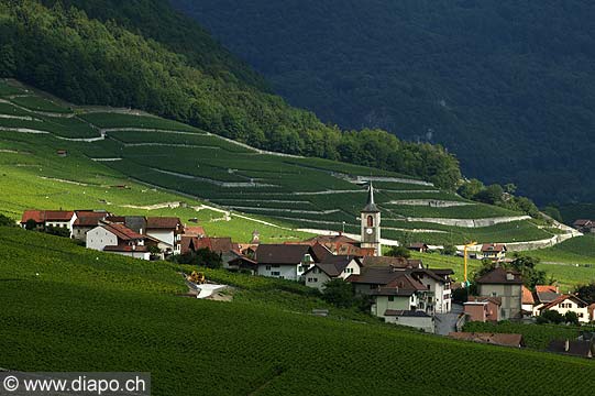 4497 - Suisse - Yvorne dans le Chablais