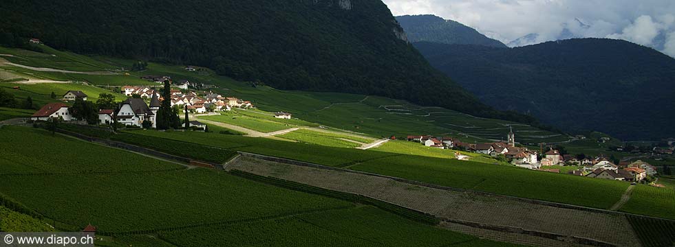 4501 - Suisse - Yvorne dans le Chablais