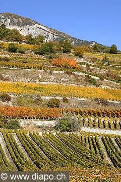 4924 - Valais, Suisse