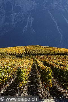 4925 - Valais, Suisse
