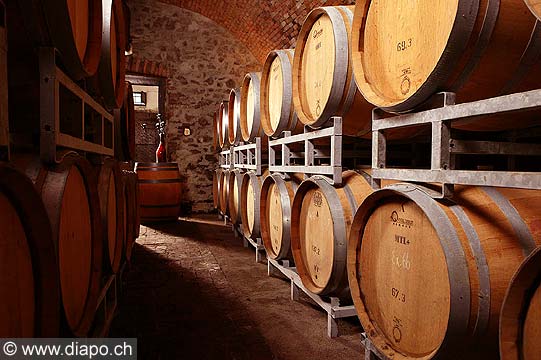 4934 - Cave - Tessin - Suisse
