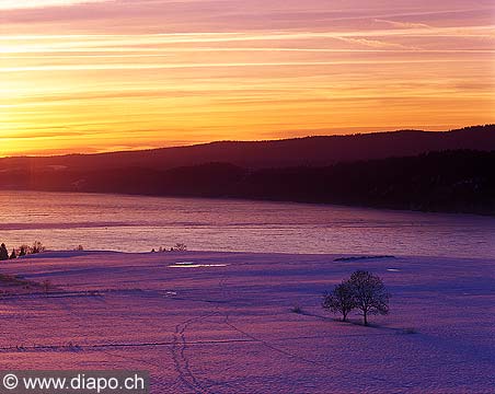 4977 - Lac de Joux en hiver - Suisse
