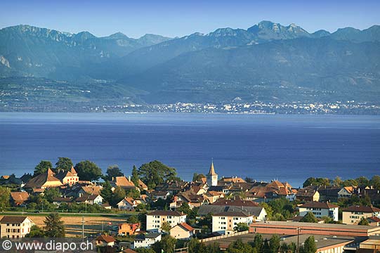 4992 - Vignoble de la Cte et le lac Lman - canton de Vaud - Suisse