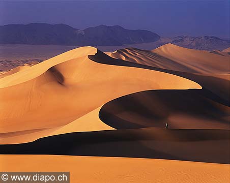 5010 - Niger, dunes de la 'pince du Crabe'