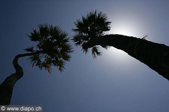 5053 - Tanzanie - Dar es Salaam