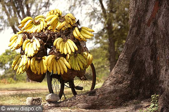 5054 - Tanzanie - Dar es Salaam