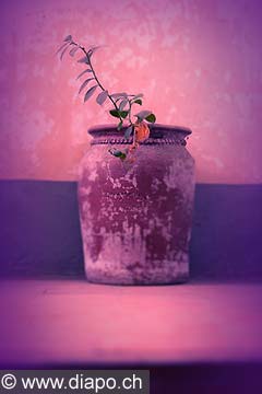 5088 - Tanzanie - Zanzibar - Stown Town