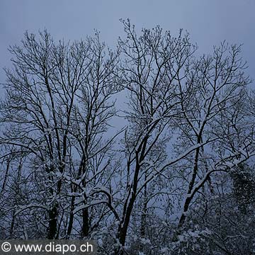 5104 - Nature morte...