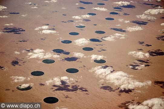 5193 - culture intensive dans le dsert libyque