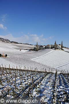 5209 - Suisse, Vaud, La Cte, Village de Fchy sous la neige