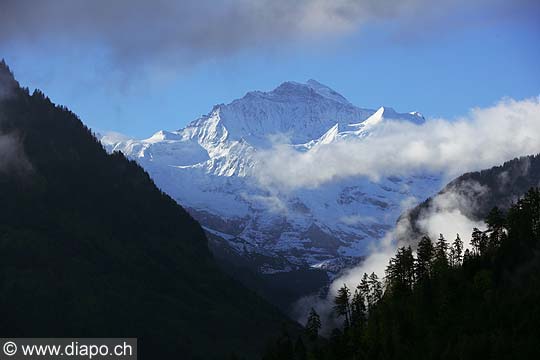 7512 - Suisse, la Jungfrau depuis Grindelwald