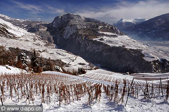 8076 - Photo : Suisse - Valais, Vignoble entre Ayent et Saint-Lonard