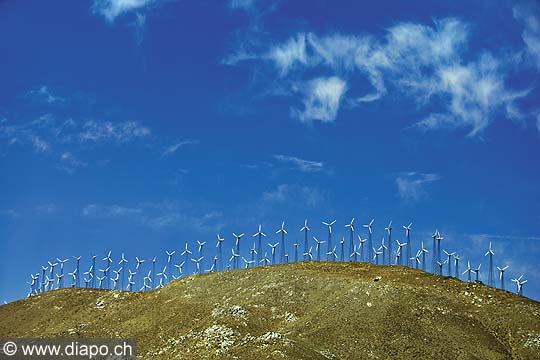 9161 - Photo : USA, Etats-Unis, Californie, eoliennes