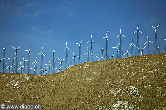 9162 - Photo : USA, Etats-Unis, Californie, eoliennes