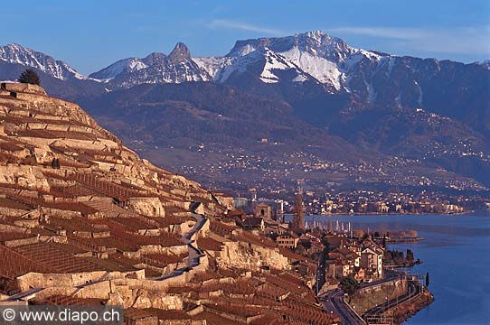 9388 - Photo : Suisse, canton de Vaud, vignoble de Lavaux en terrasses - Saint-Saphorin, Lac Lman