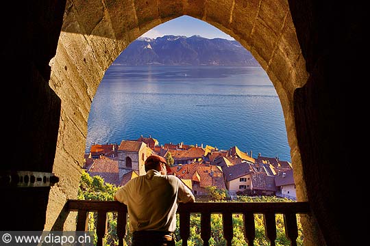 9389 - Photo : Suisse, canton de Vaud, vignoble de Lavaux en terrasses - Saint-Saphorin, Lac Lman