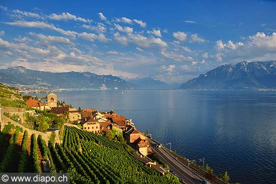 9392 - Photo : Suisse, canton de Vaud, vignoble de Lavaux en terrasses - Saint-Saphorin, Lac Lman