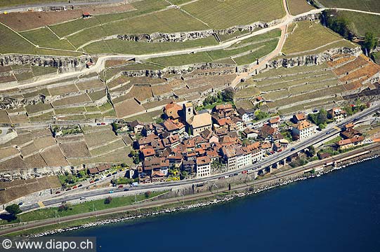 9396 - Photo : Suisse, canton de Vaud, vignoble de Lavaux en terrasses - Saint-Saphorin, Lac Lman