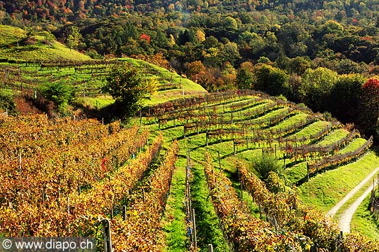 9409 - Photo: Tessin vers Bellinzona