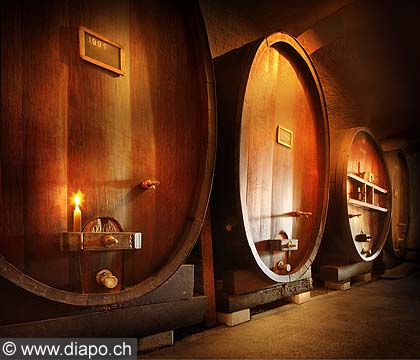 9513 - Photo: Domaine de CHATELANAT  Perroy - Suisse