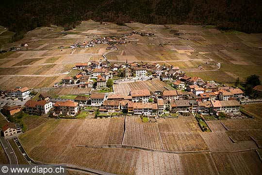 9521 - Photo : Suisse, canton de Vaud, vignoble et village d'Yvorne, vue areinne